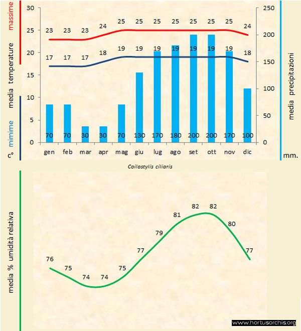 Coilostylis ciliaris a gr it