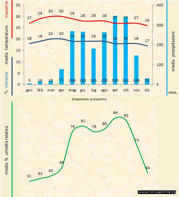 Dresslerella pilosissima a gr it