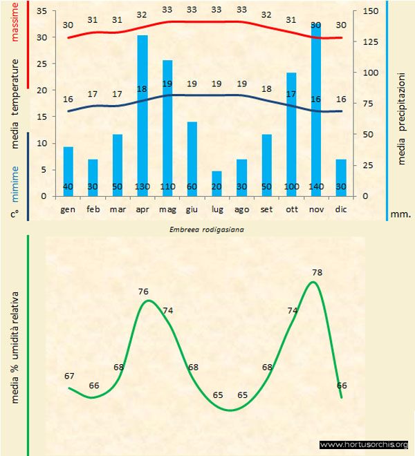 Embreea rodigasiana a gr it