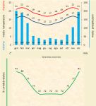 Leggi tutto: Aeranthes arachnites