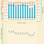 Read more: Bulbophyllum graveolens