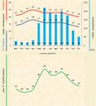 Leggi tutto: Lacaena spectabilis