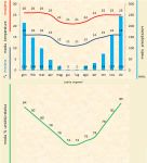 Leggi tutto: Laelia angereri