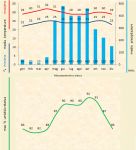 Leggi tutto: Macropodanthus alatus