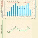 Read more: Masdevallia estradae