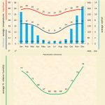 Read more: Pseudolaelia vellozicola