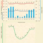 Read more: Solenidiopsis tigroides